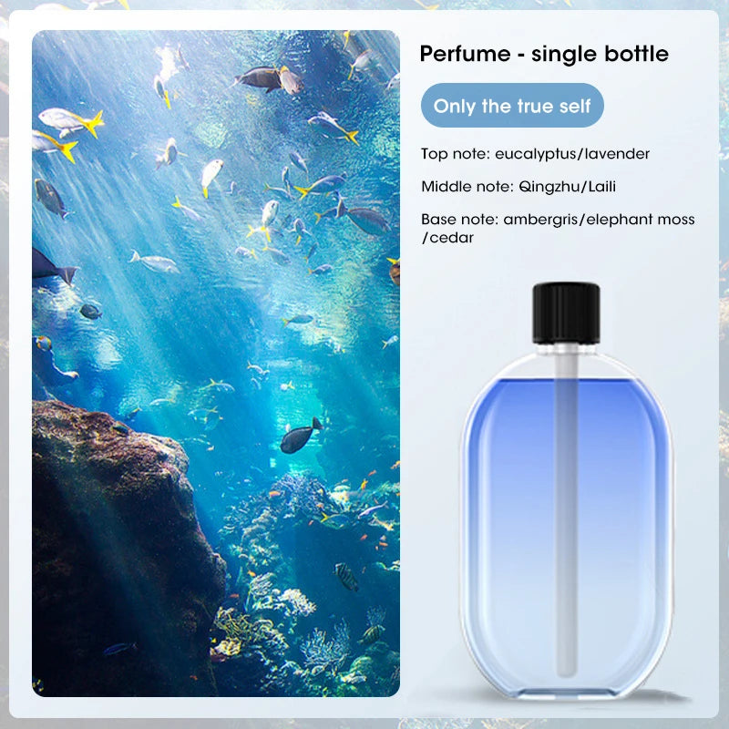 AuraMist™ Sleep Diffuser